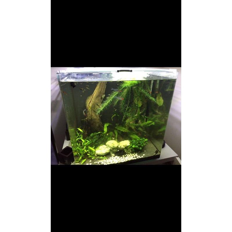 Square FISH TANK (lots of extras)