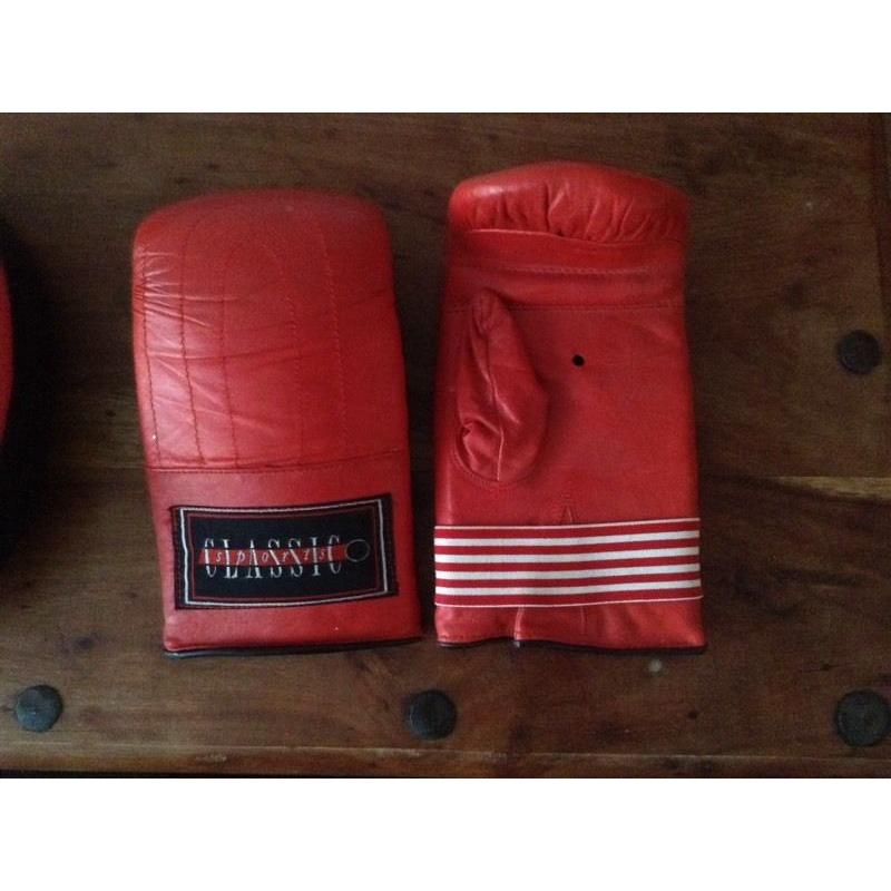 Boxing gloves