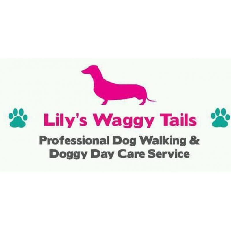 Doggy Day Care/Dog walker