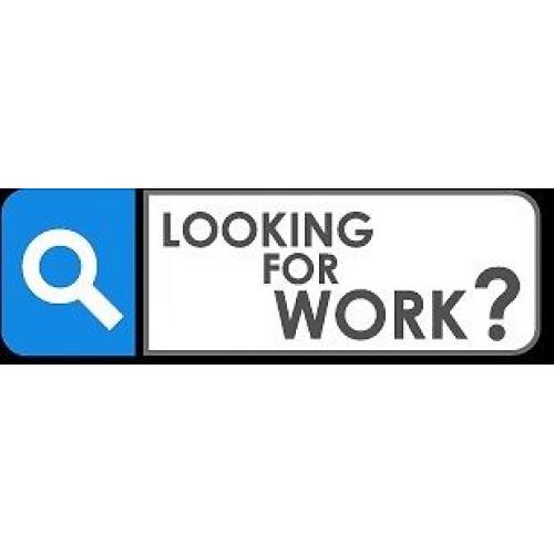 Kitchen Assistants needed