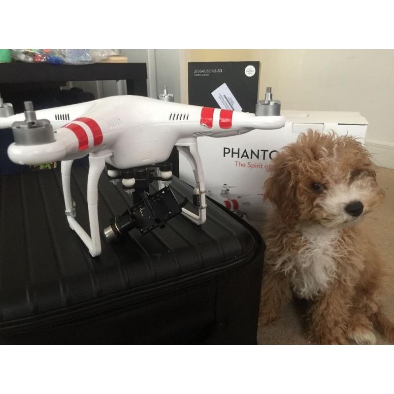 DJI PHANTOM 2 with ZENMUSE H3-3D