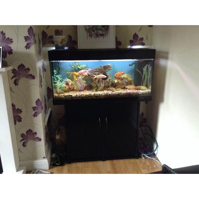 Jewel 3.5 ft Fish Tank