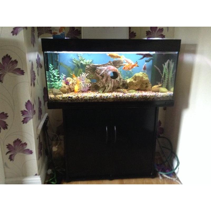 Jewel 3.5 ft Fish Tank