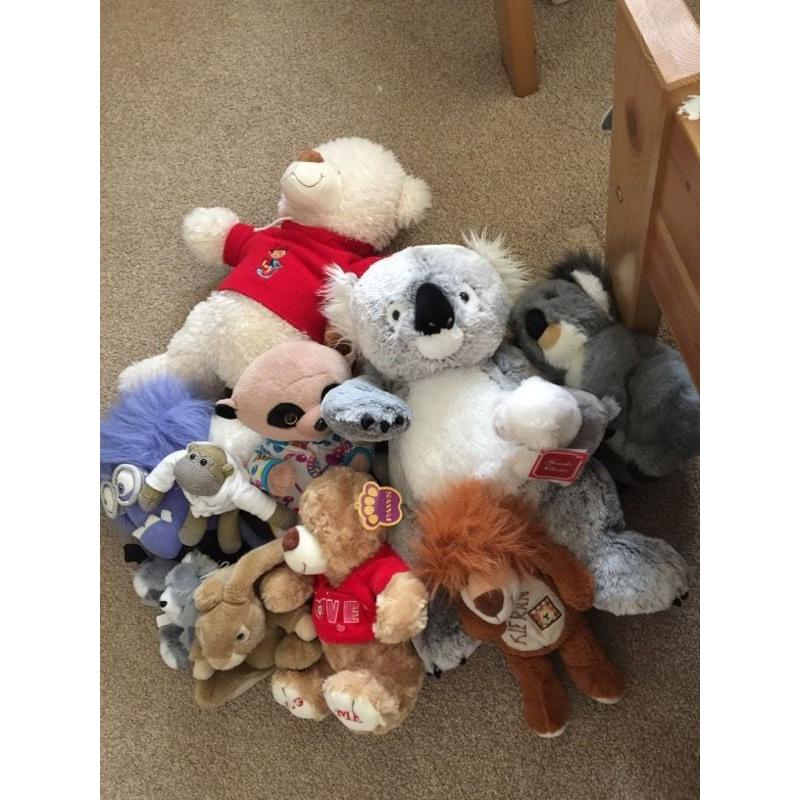 Teddys