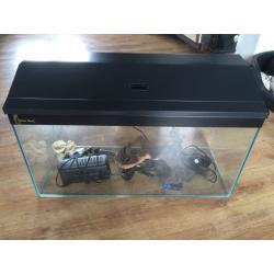 Immaculate Fish tank and accessories. Everything you'll need to get set up.