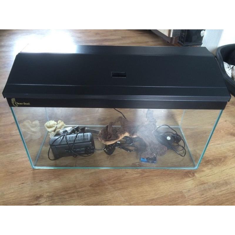 Immaculate Fish tank and accessories. Everything you'll need to get set up.