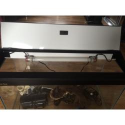 Immaculate Fish tank and accessories. Everything you'll need to get set up.
