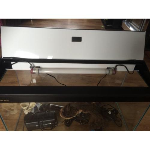 Immaculate Fish tank and accessories. Everything you'll need to get set up.