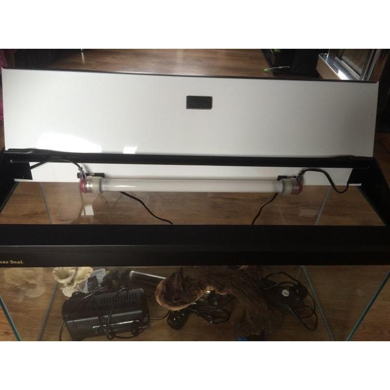 Immaculate Fish tank and accessories. Everything you'll need to get set up.