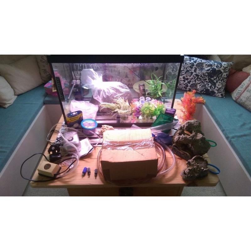 Fish Tank and bits