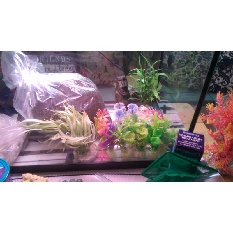 Fish Tank and bits