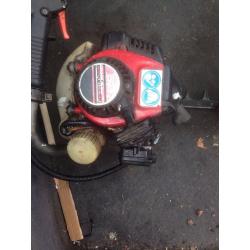 Petrol headge cutter