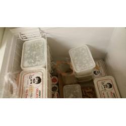 VESTFROST CHEST FREEZER