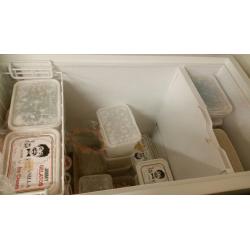 VESTFROST CHEST FREEZER