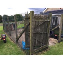 Dog run