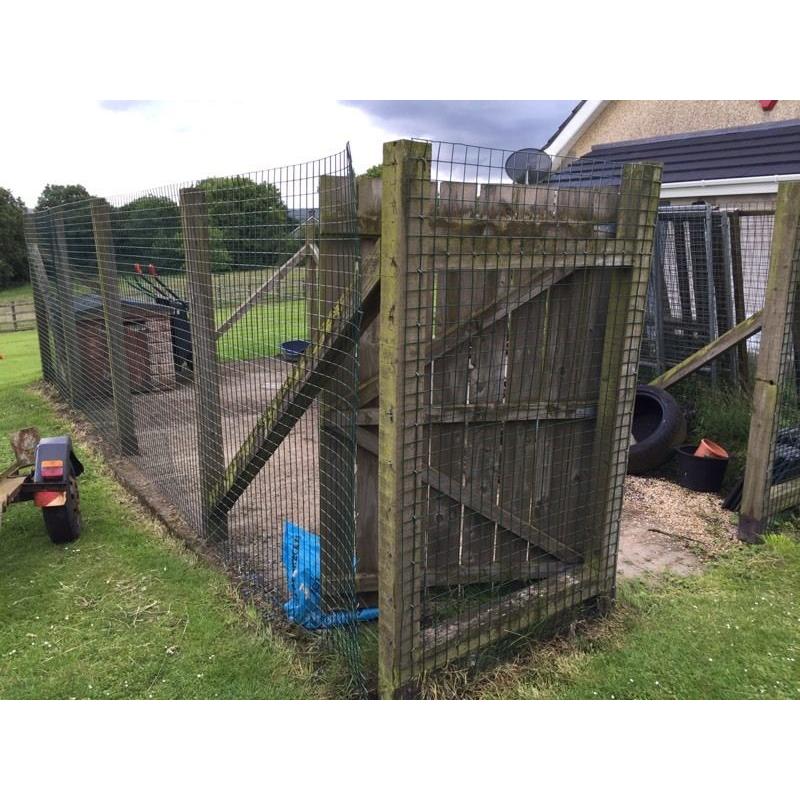 Dog run