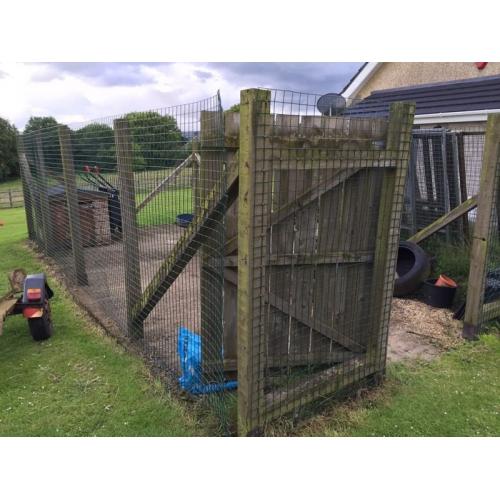 Dog run
