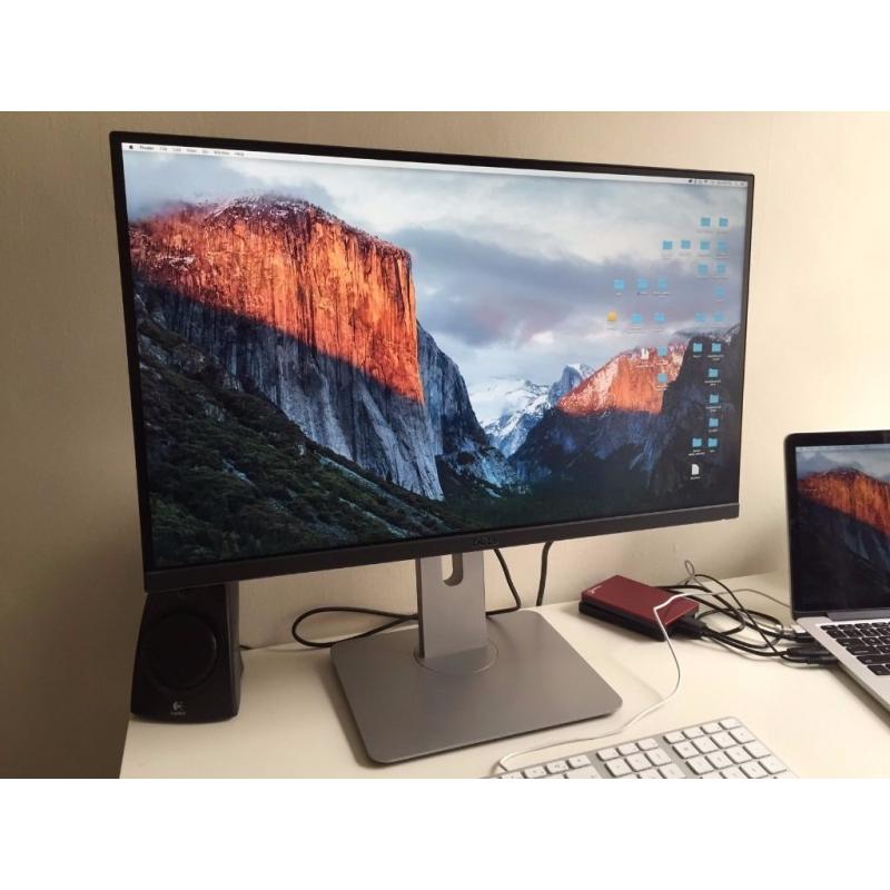 DELL 25-Inch LCD Monitor
