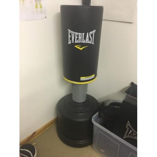 Free standing Everlast Punch Bag