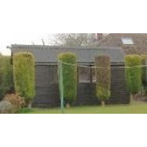 FREE SHED 15'4" X 7'10"