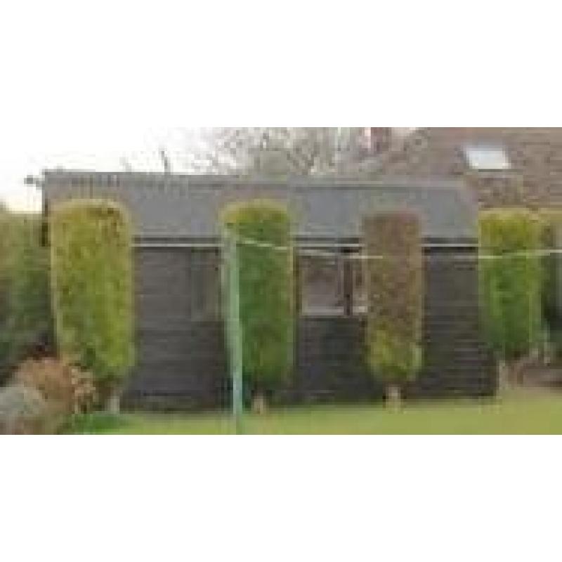 FREE SHED 15'4" X 7'10"