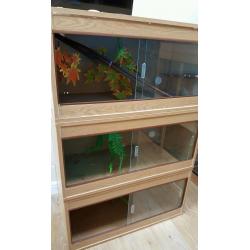 Three 3ft vivariums