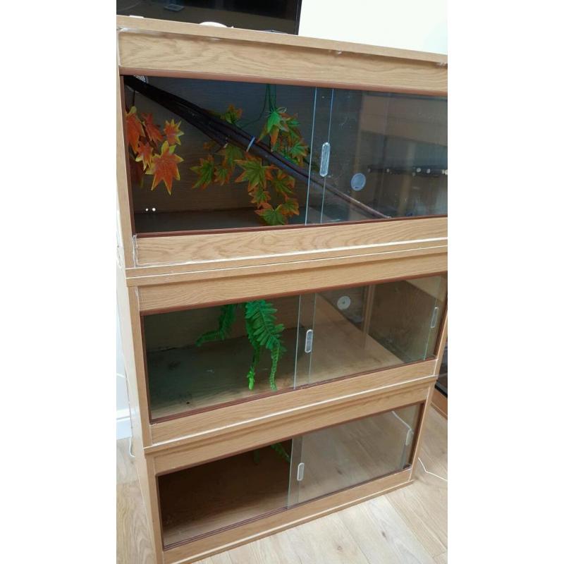 Three 3ft vivariums