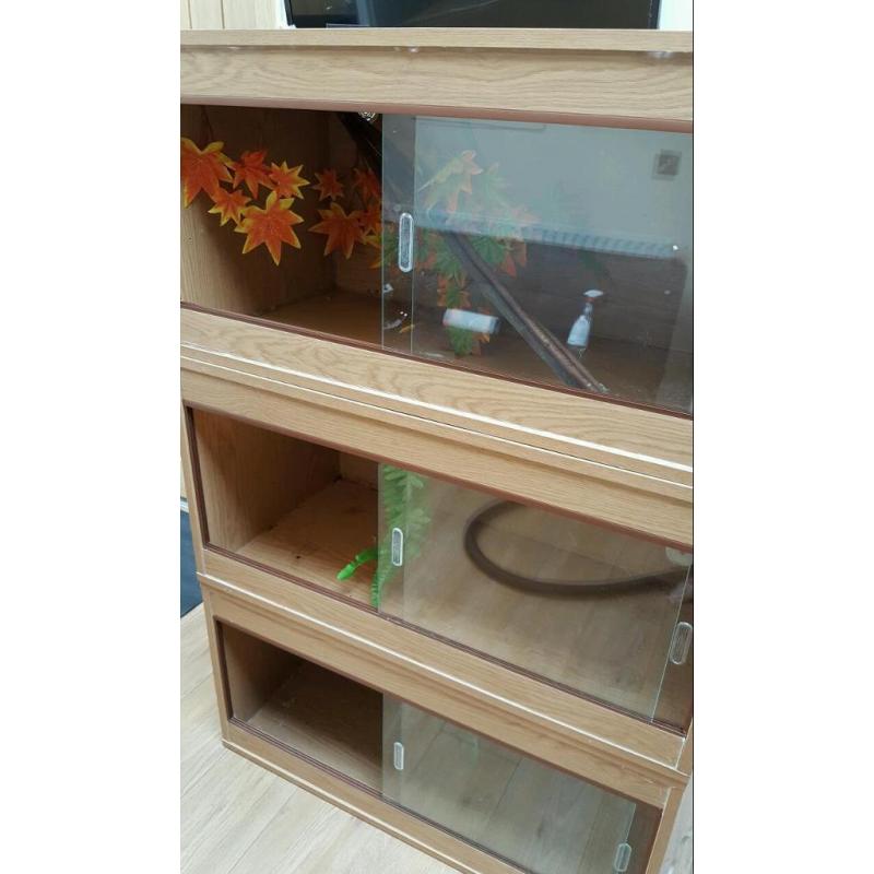 Three 3ft vivariums