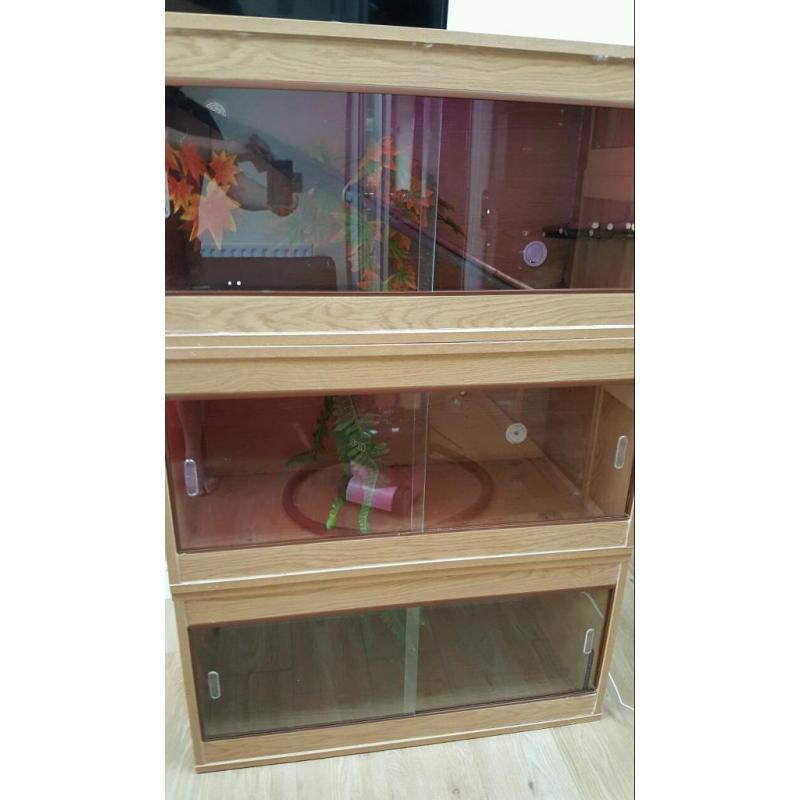 Three 3ft vivariums