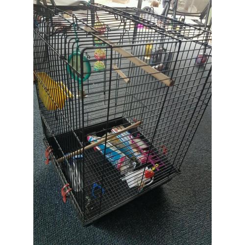 Bird cage