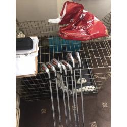 Cobra amp d irons