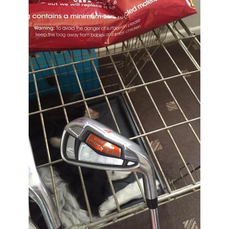 Cobra amp d irons