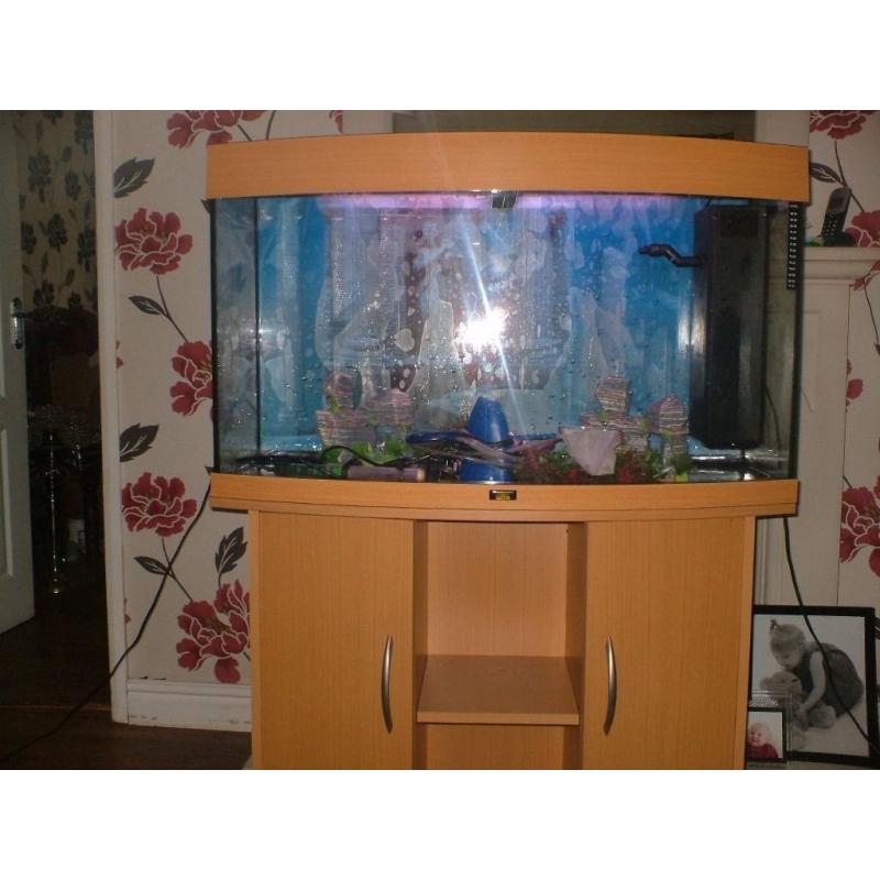 fish tank