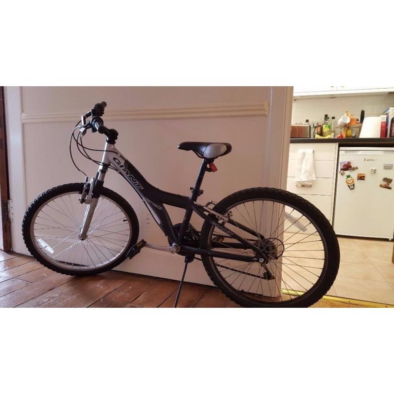 Giant Bike