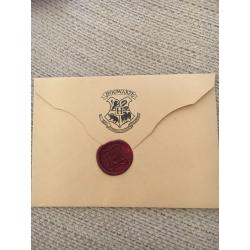 Harry Potter accessories