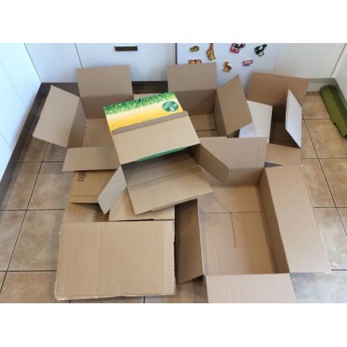 Boxes