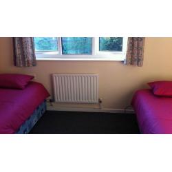 24/7/16 - 8 x rooms in Houseshares with EU tenants. 2 bathrooms, living room, garden DISCOUNTS APPLY