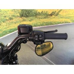 Harley Davidson Forty Eight XL 1200 X 2014