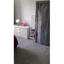 double bedroom in shared flat available for festival/short term/holiday