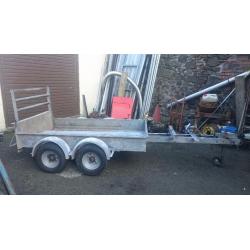 Galvanized plant/utility trailer