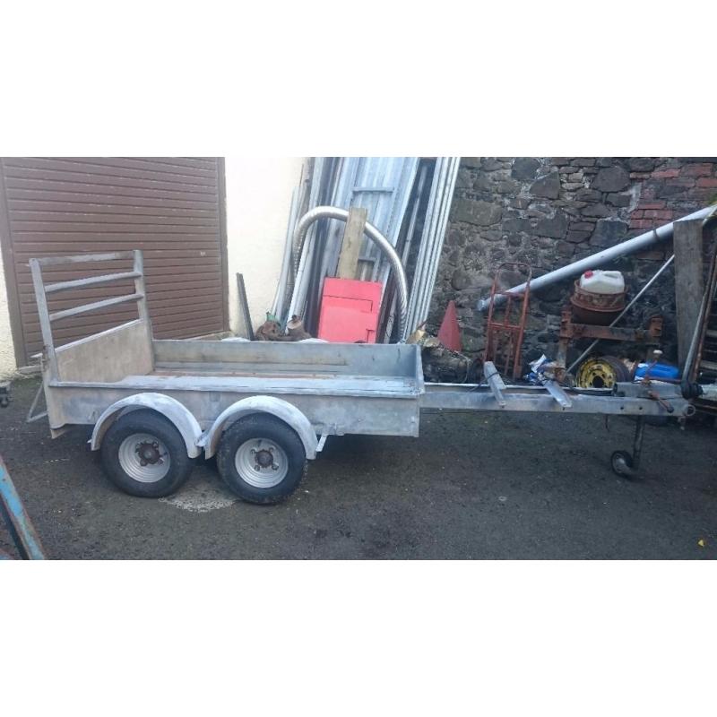 Galvanized plant/utility trailer
