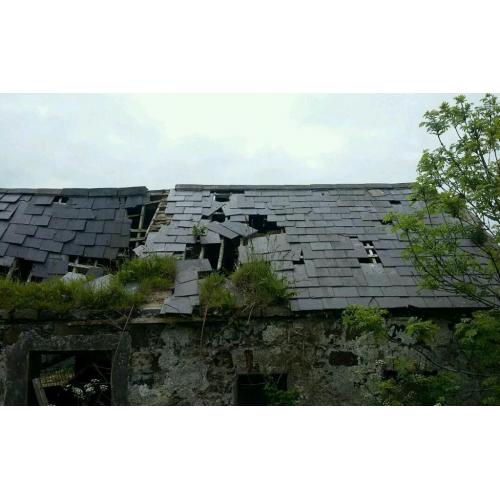 Bangor Blue Slates Urgently ***Needed**