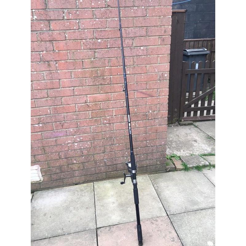Rod and reel