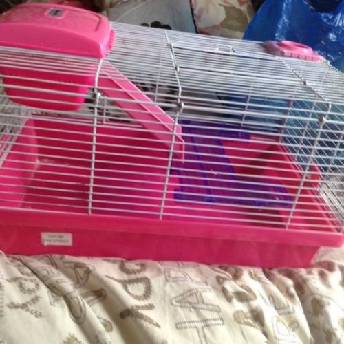 Pink Hamster Cage