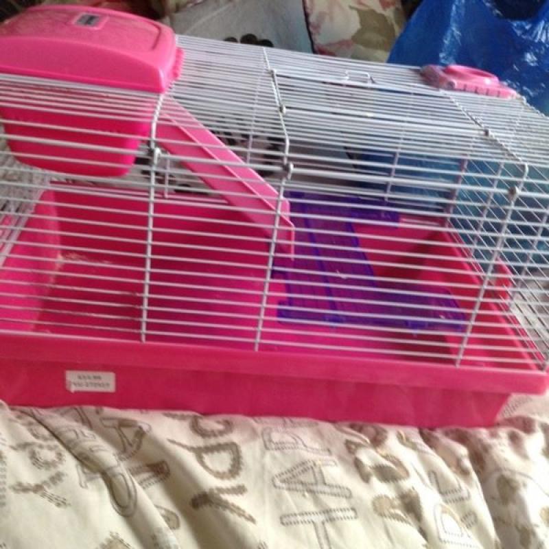 Pink Hamster Cage