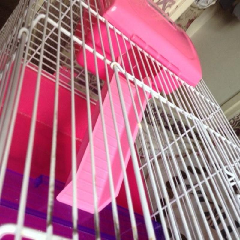 Pink Hamster Cage