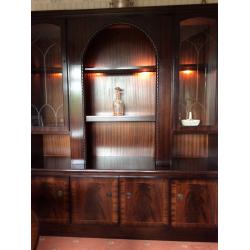 Mahogany veneer unit with lights