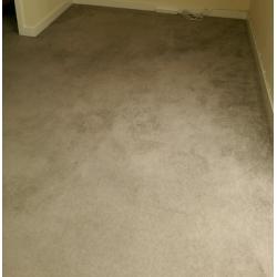CARPET GOOD CONDITION