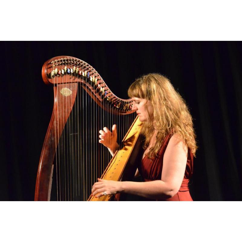 PIANO and/or CELTIC HARP LESSONS with PRO musician/composer/teacher