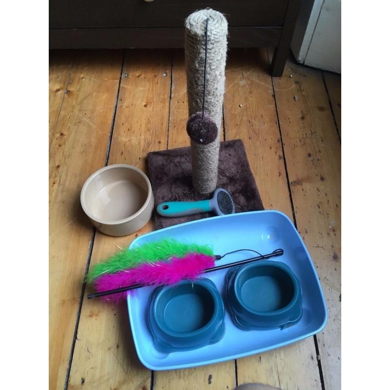 Cat Litter Tray and Accessories